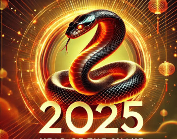Năm 2025 là năm con gì?